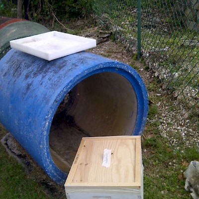 External Bee Hive